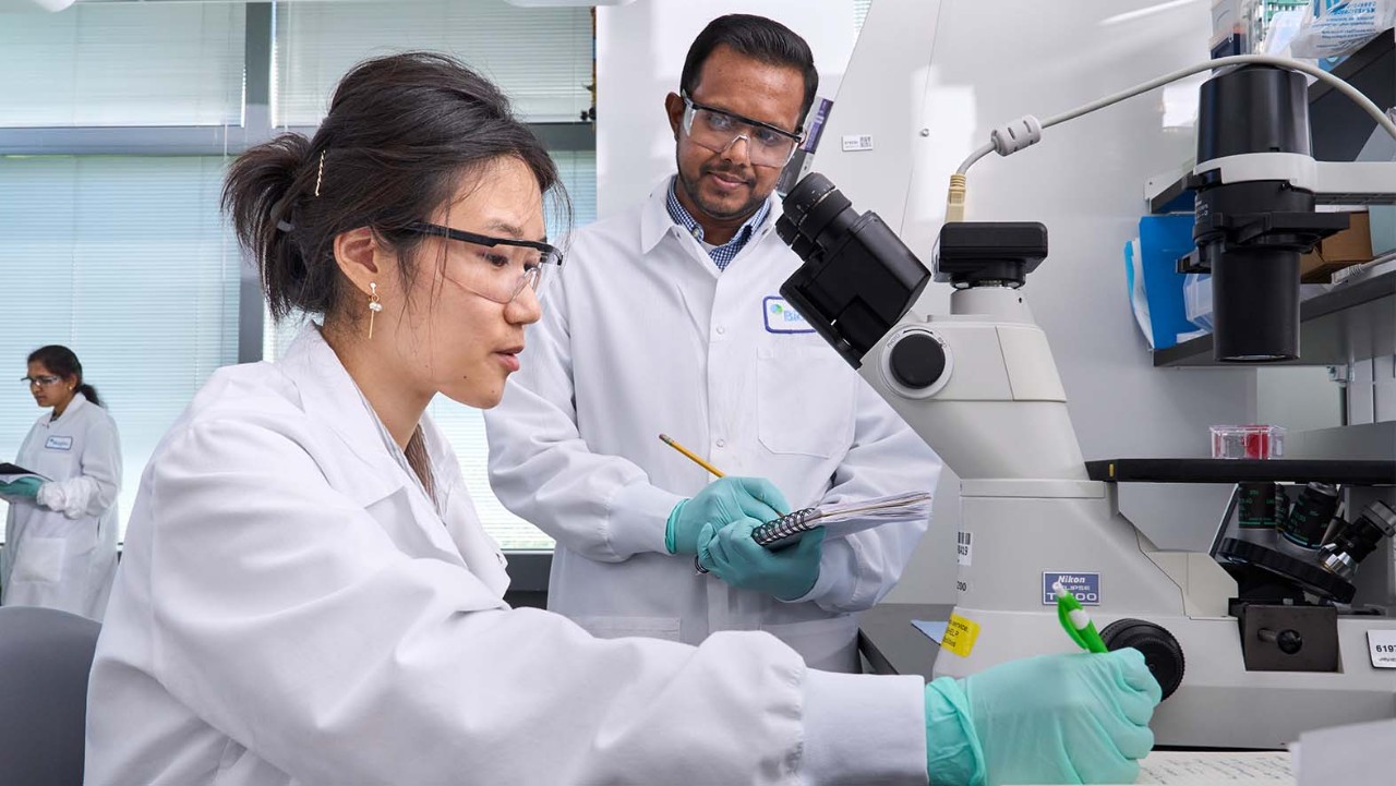 Deux scientifiques de Biogen travaillant en laboratoire à l’aide d’un microscope